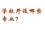 学校有什么专业？