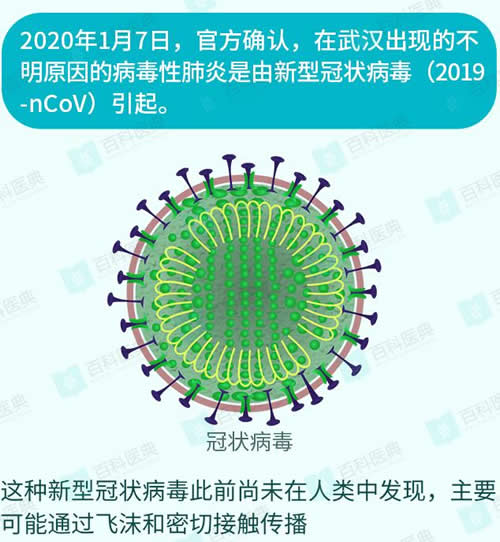 1282.jpg 什么是新型冠状病毒？如何才能预防？ 资料 第1张
