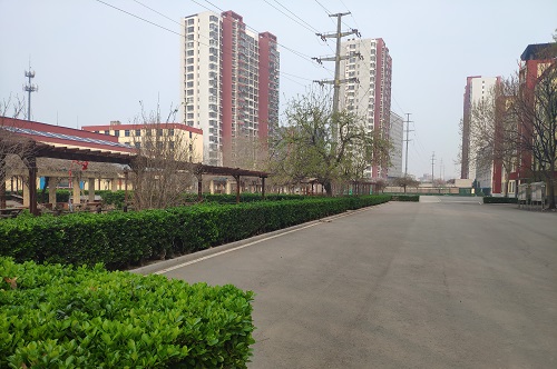 石家庄铁路学校春天校园 2020春踏青石铁校园 学校图片 第3张